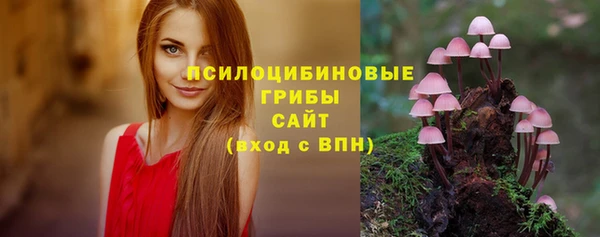 COCAINE Горняк