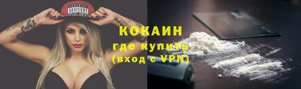 молекула духа Горно-Алтайск
