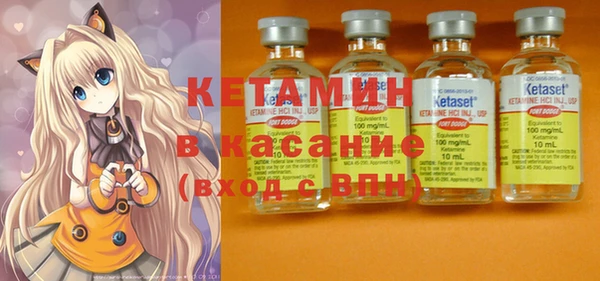 стаф Вязьма