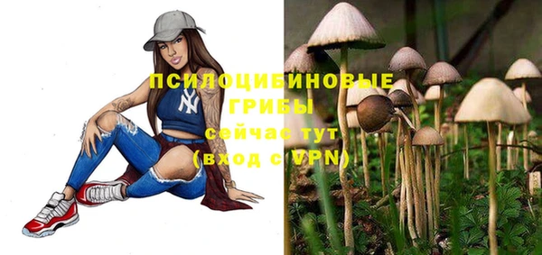 стаф Россошь